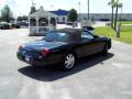 2004 Thunderbird Premium Roadster #5