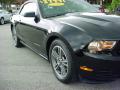 2010 Mustang V6 Premium Convertible #2