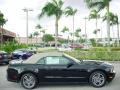 2010 Mustang V6 Premium Convertible #5