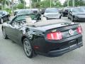 2010 Mustang V6 Premium Convertible #9