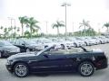 2010 Mustang V6 Premium Convertible #10