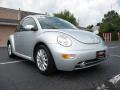 2004 New Beetle GLS 1.8T Coupe #12