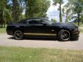  2007 Ford Mustang Black/Gold Stripe #2