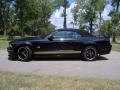  2007 Ford Mustang Black/Gold Stripe #6