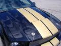 2007 Mustang Shelby GT-H Convertible #13