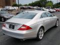 2006 CLS 500 #10