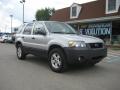 2005 Ford Escape XLT V6 4WD Silver Metallic