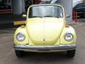 1978 Beetle Coupe #2