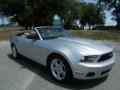 2010 Mustang V6 Convertible #19