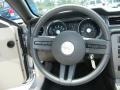 2010 Mustang V6 Convertible #27