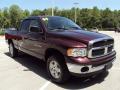 2004 Ram 1500 SLT Quad Cab 4x4 #10