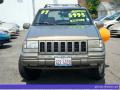 1997 Grand Cherokee Orvis 4x4 #8