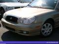 2004 Sonata  #7