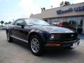 2005 Mustang V6 Deluxe Coupe #2
