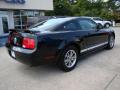2005 Mustang V6 Deluxe Coupe #8