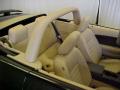 2006 Mustang GT Premium Convertible #11