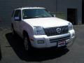 2010 Mountaineer V8 Premier AWD #2