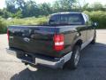 2006 F150 XLT SuperCab #3