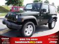 2010 Jeep Wrangler Sport 4x4 Natural Green Pearl