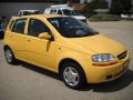 2004 Aveo LS Hatchback #6