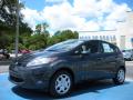 2011 Fiesta SE Hatchback #1