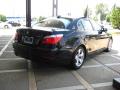 2008 5 Series 528i Sedan #8