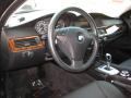 2008 5 Series 528i Sedan #13