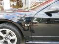2003 Mustang GT Coupe #8