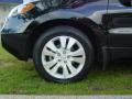 2010 RDX SH-AWD Technology #8