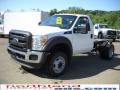 2011 F550 Super Duty XL Regular Cab 4x4 Chassis #2