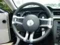 2010 Mustang V6 Coupe #21