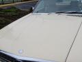 1987 SL Class 560 SL Roadster #7