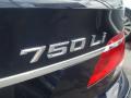 2006 7 Series 750Li Sedan #31