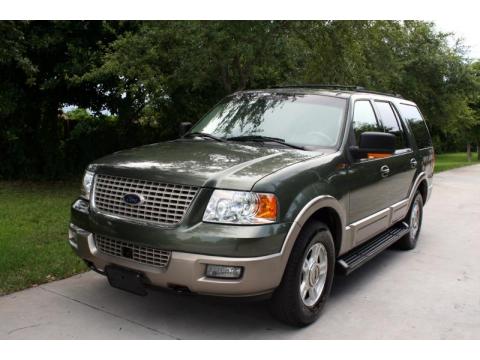 Estate Green Metallic Ford Expedition Eddie Bauer 4x4.  Click to enlarge.