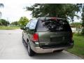 2003 Expedition Eddie Bauer 4x4 #8