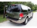 2003 Expedition Eddie Bauer 4x4 #20