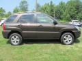 2010 Sportage LX #17