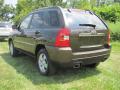 2010 Sportage LX #18