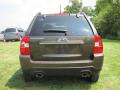 2010 Sportage LX #19