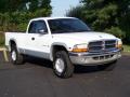 1999 Dakota SLT Extended Cab 4x4 #10