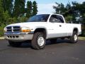 1999 Dakota SLT Extended Cab 4x4 #13