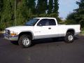 1999 Dakota SLT Extended Cab 4x4 #14