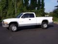 1999 Dakota SLT Extended Cab 4x4 #15