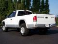 1999 Dakota SLT Extended Cab 4x4 #18
