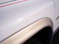 1999 Dakota SLT Extended Cab 4x4 #22