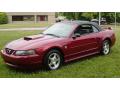 2004 Mustang V6 Convertible #1