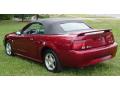 2004 Mustang V6 Convertible #3