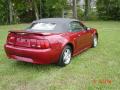 2004 Mustang V6 Convertible #5