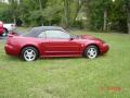 2004 Mustang V6 Convertible #6