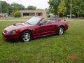 2004 Mustang V6 Convertible #9